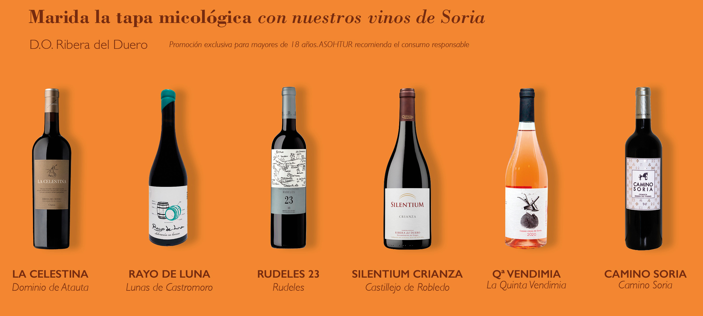 Vinos de Soria